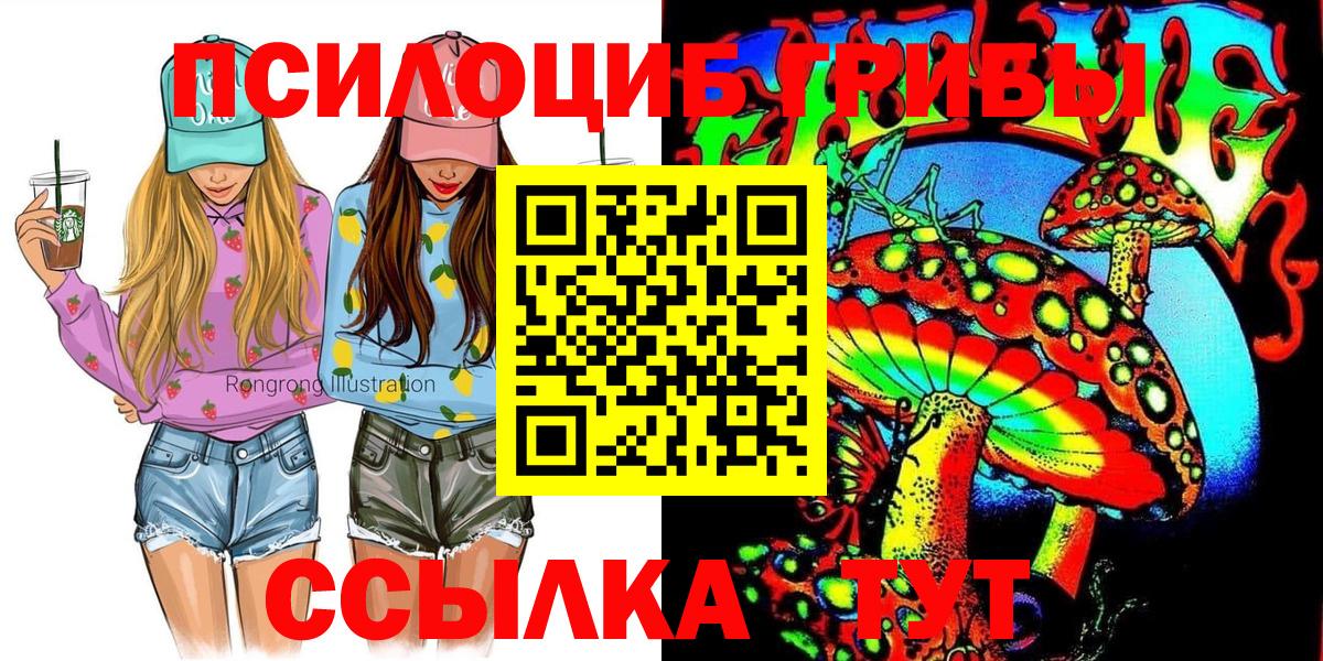 Псилоцибиновые грибы Cubensis  Вход с VPN  Артём 